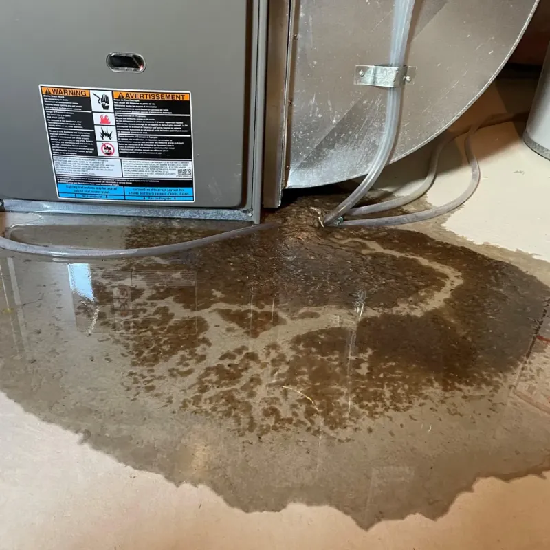 Appliance Leak Cleanup in Fruitridge Pocket, CA